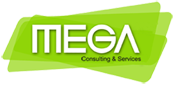 Mega Consulting Services
